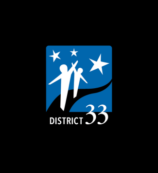  D33